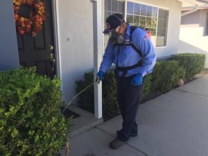 Pest Control