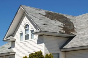 Roof Needs