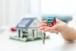 Real Estate Search