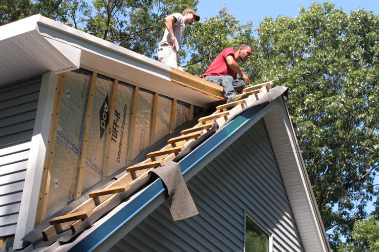 Buy An Extension Roof Ladder For Your Home! - Dea5