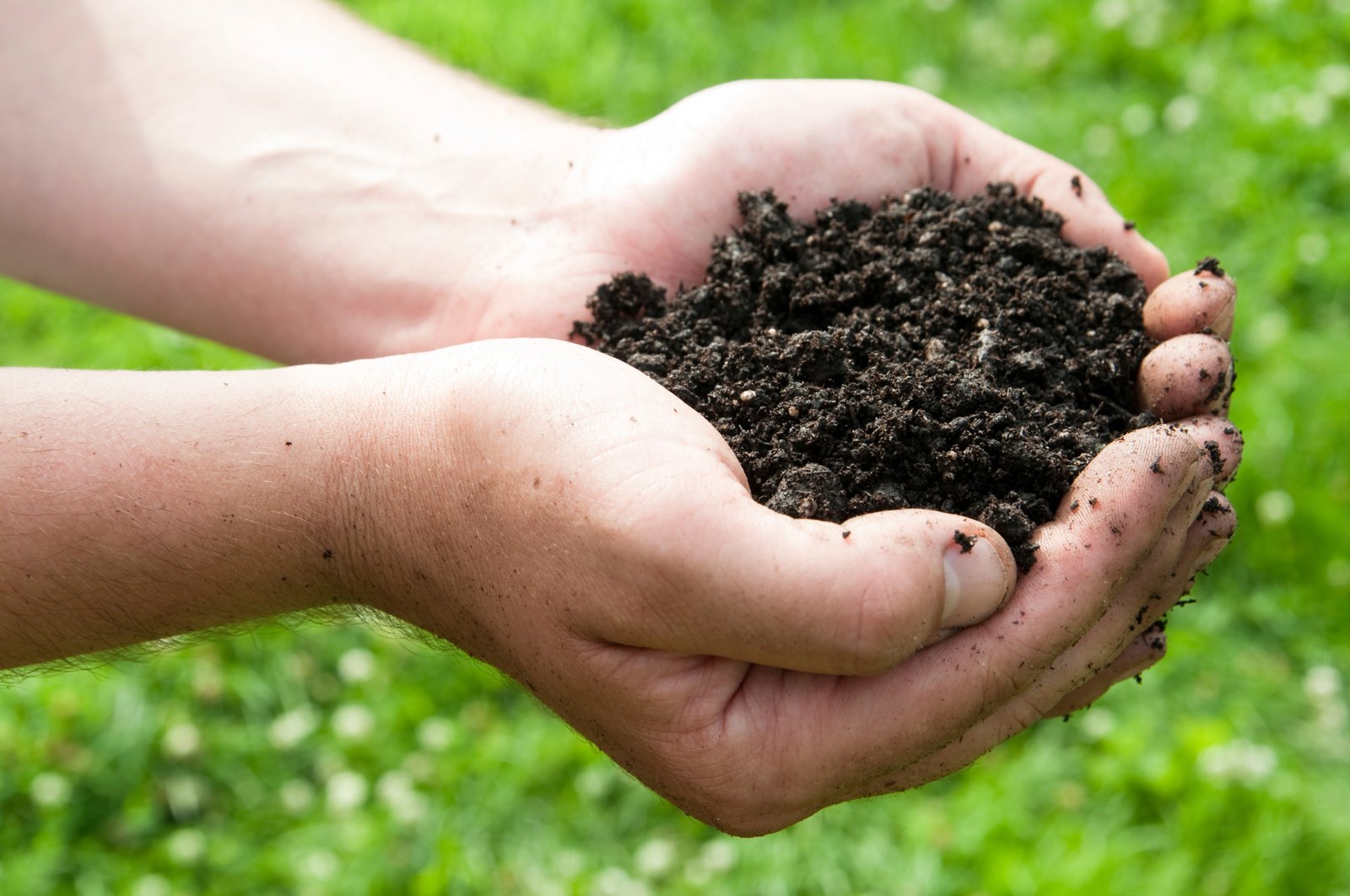 Плодородие д. Почва. Плодородие грунта. Плодородная почва. Сохранение почвы.